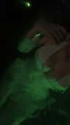 ashley.scarr Altpins Profile Picture