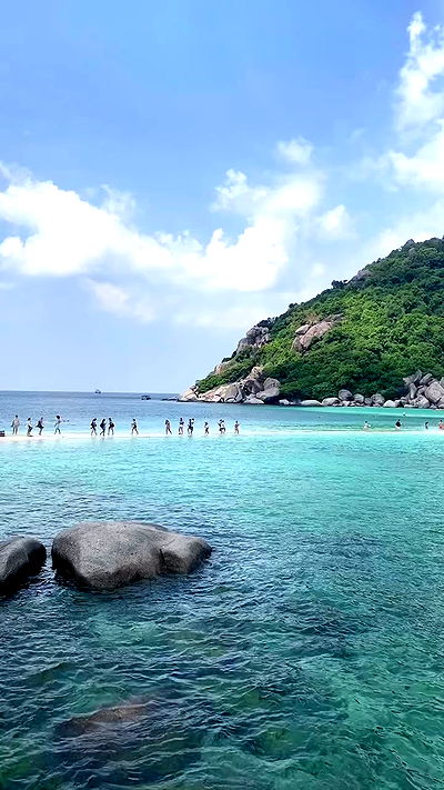 yam_adler yam_adler archive video