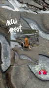 sonya_fisher_ Altpins Profile Picture
