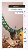 suadaunanh_ne Altpins Profile Picture