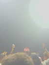 eden_gadamo__ Altpins Profile Picture