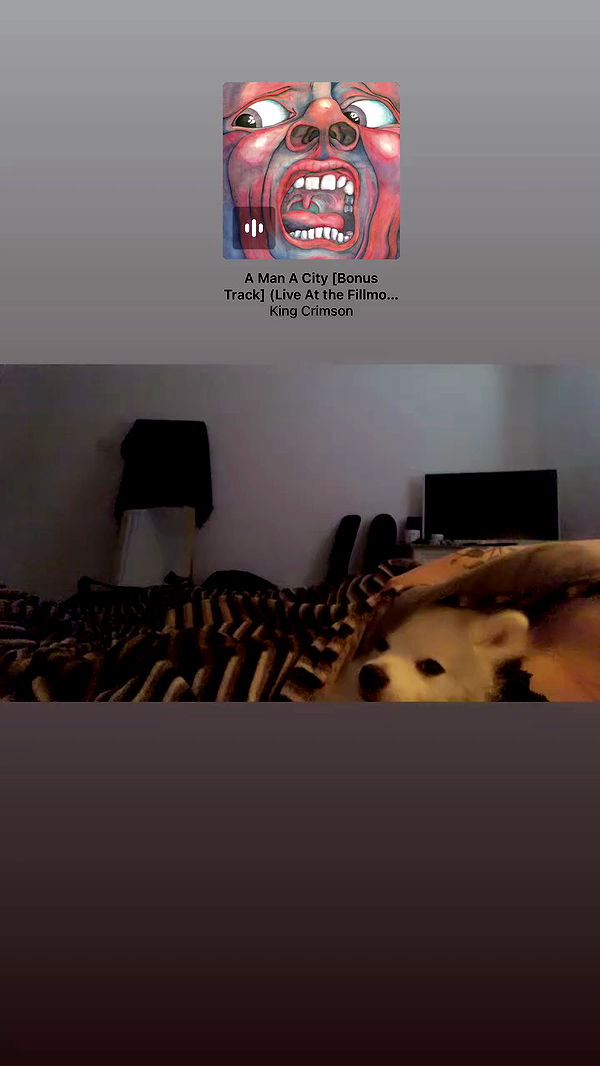 romy_ayalla_lavi archive video preview