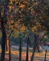 catherine__roze Altpins Profile Picture