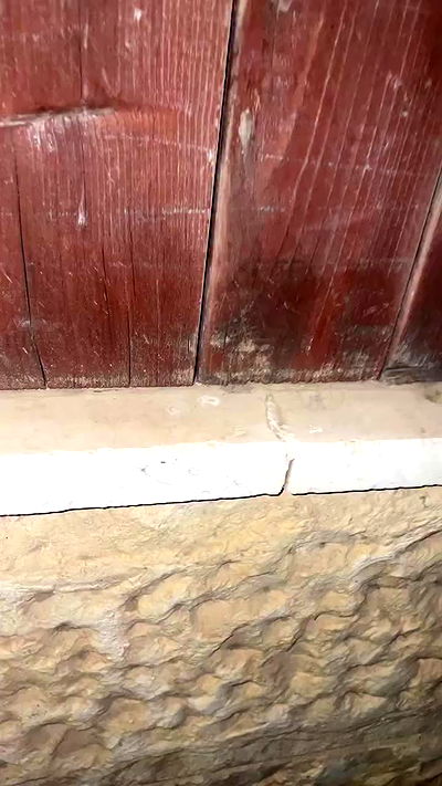 efrat_elmalich efrat_elmalich archive video