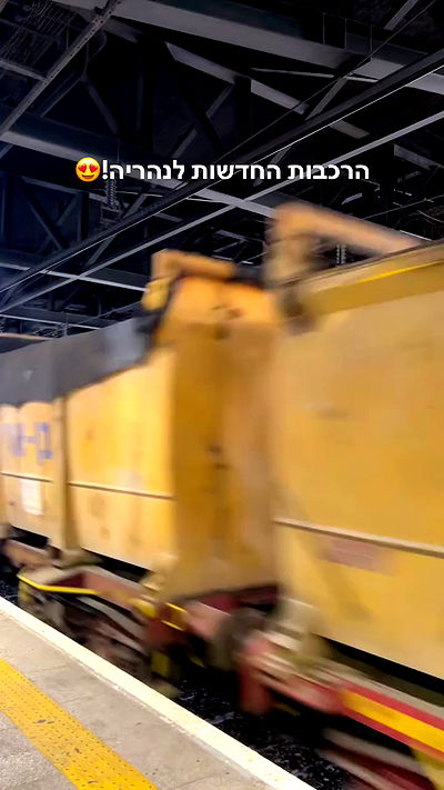 tuliprivet tuliprivet archive video