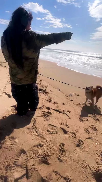 zommmbri zommmbri archive video