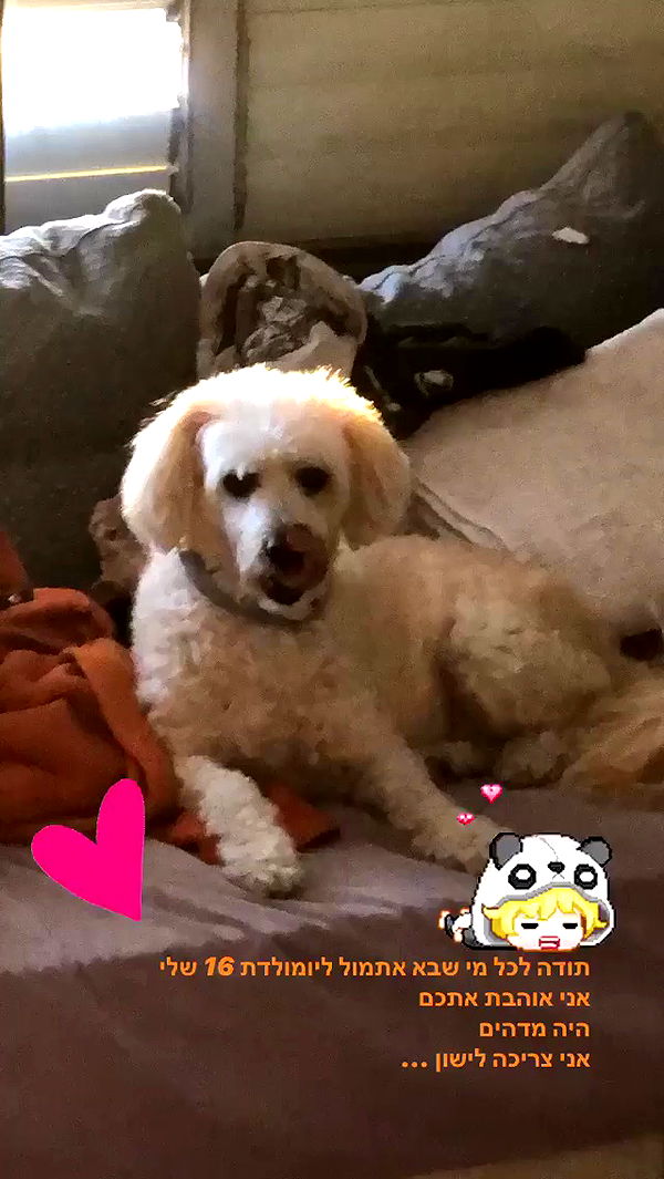 feelbetterinmysweater archive video preview