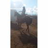 jailyneojeda Altpins Profile Picture