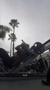 emelye.ender Altpins Profile Picture