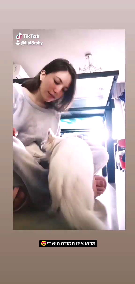 tinapavlov.sky archive video preview