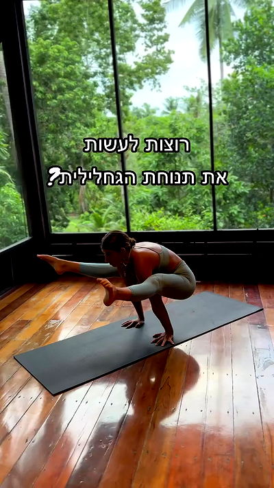 liad.arazi liad.arazi archive video