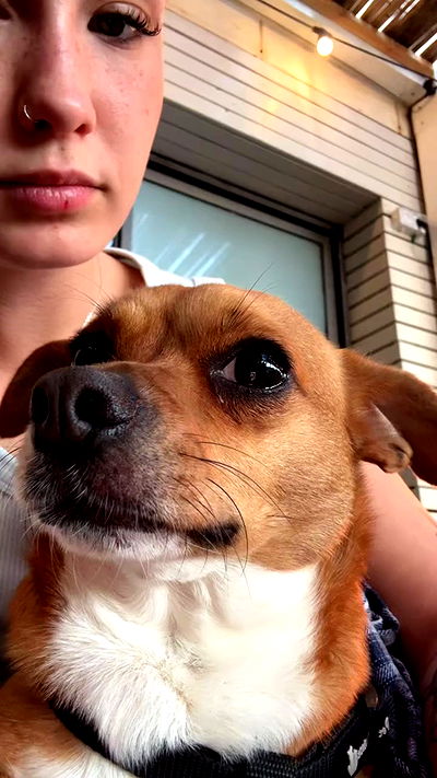 jaroslava_klavir jaroslava_klavir archive video