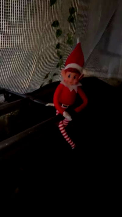 piper.jaylen piper.jaylen archive video