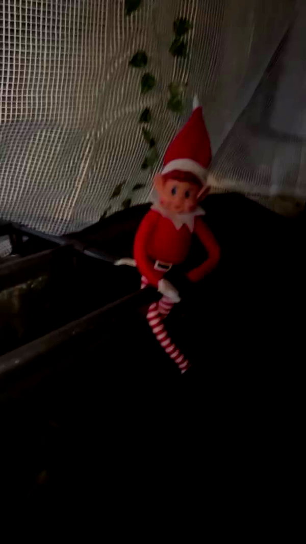 piper.jaylen archive video preview
