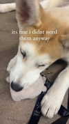 ifkissescouldleavecuts Altpins Profile Picture