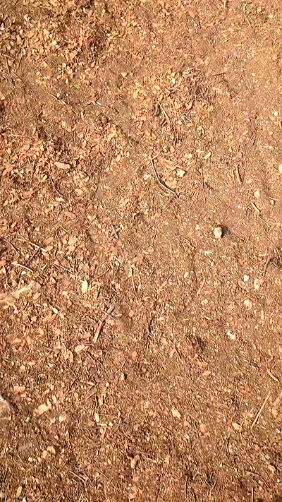 tinapavlov.sky tinapavlov.sky archive video