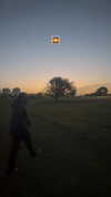 avitallllllll Altpins Profile Picture