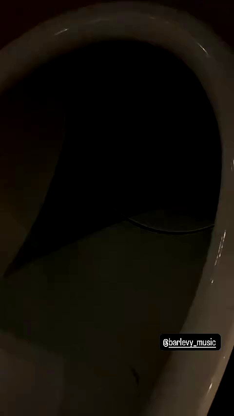 shayli_or archive video preview