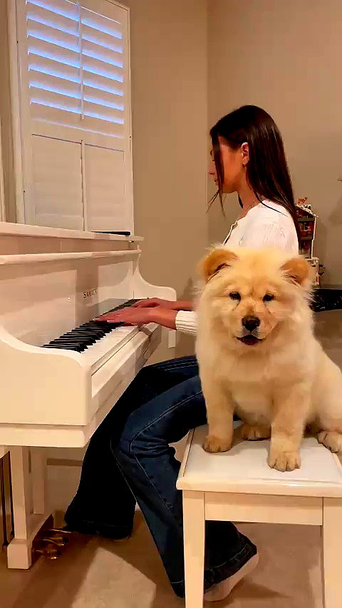 chloerosenbaum archive video preview
