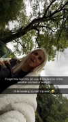 maddietaggx Altpins Profile Picture