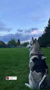 astarwbry_ Altpins Profile Picture
