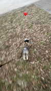_cla._8 Altpins Profile Picture