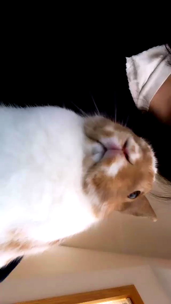 emiru.jpg archive video preview