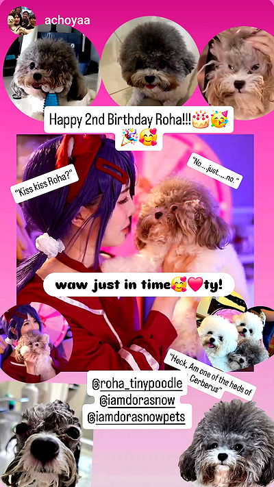 iamdorasnow iamdorasnow archive video