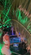 shavgulidzenatt Altpins Profile Picture