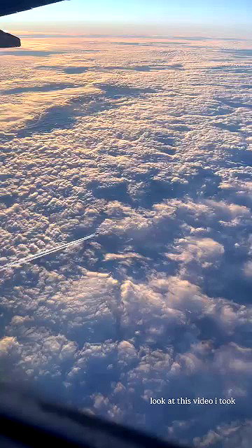 ivy.owowo archive video preview