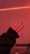 iwong.04 Altpins Profile Picture