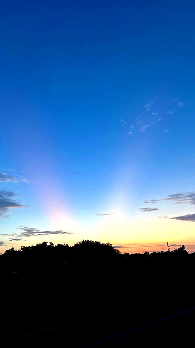 thelizzyporter thelizzyporter archive video