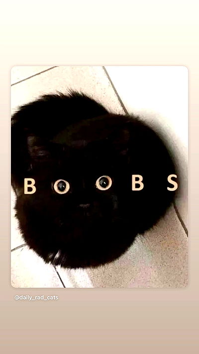 vamppyrbaby vamppyrbaby archive video