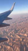 tohar.harosh Altpins Profile Picture