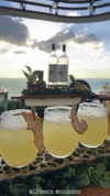 sonia_litvanchuk Altpins Profile Picture