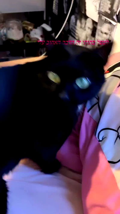 hellokittyangel666 hellokittyangel666 archive video