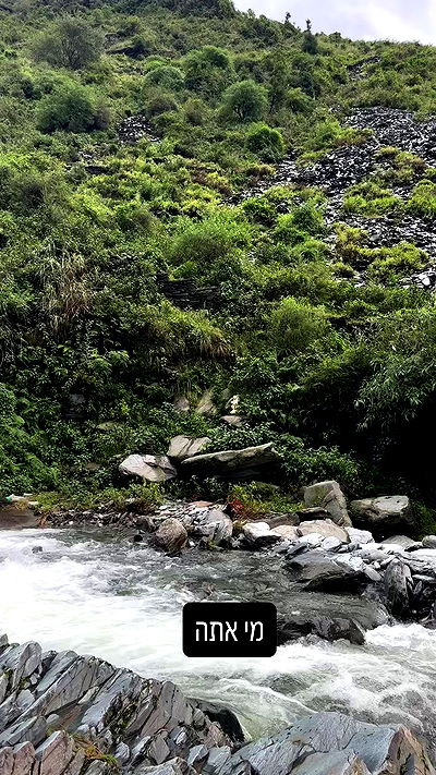 ronyida_ ronyida_ archive video