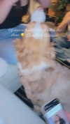 madelinemonet Altpins Profile Picture