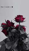 blackivy.xx Altpins Profile Picture