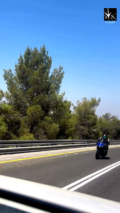 simp_for_cats_ simp_for_cats_ archive video