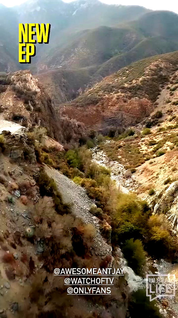 caseboon archive video preview