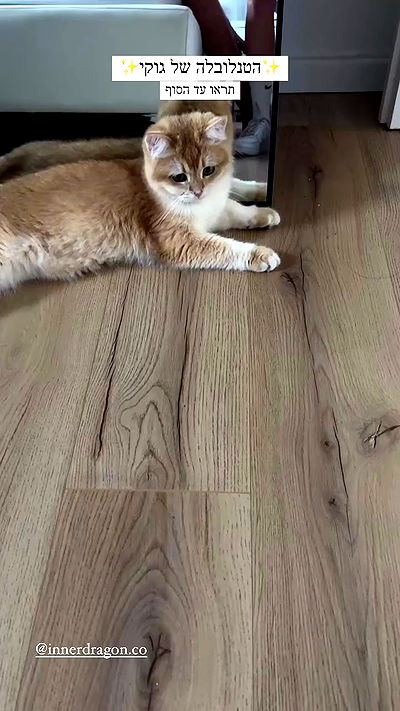 itsilanosh itsilanosh archive video