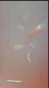 shaniii.1 Altpins Profile Picture