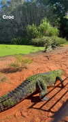 eloise_wensley Altpins Profile Picture