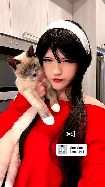 wuvkyu wuvkyu archive video