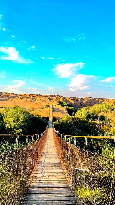 lissi77 lissi77 archive video