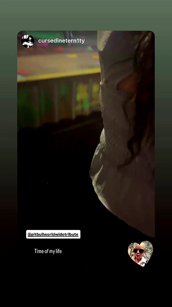 _scarlc_xo archive video preview