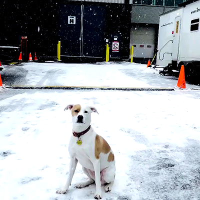 sydney_sweeney sydney_sweeney archive video