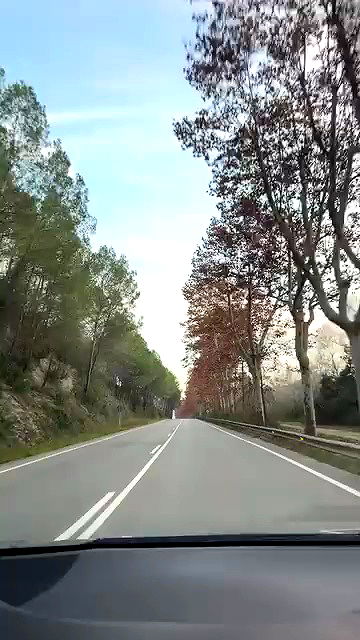 redroomromance redroomromance archive video