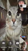 th4t2007do1l Altpins Profile Picture